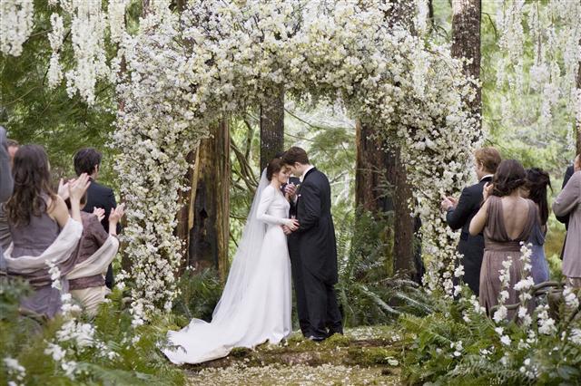 지난해 11월 30일 개봉한 미국 영화 ‘트와일라잇:브레이킹던1’의 한 장면. 영송 마틴이 남녀 주인공의 결혼식 장면에 등장하는 배경을 연출했다.