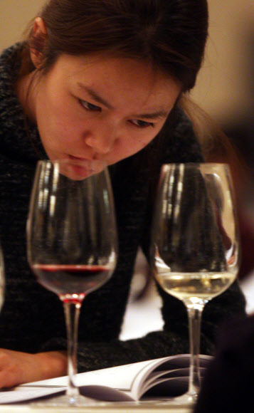 제11회 한국 소믈리에 대회 1차 예선이 13일 서울 플라자호텔에서 열리고 있다. 프랑스 농식품 수산부가 주최하고 프랑스 농식품 진흥공사가 주관한 이번 예선에는 250명이 참가했다. 연합뉴스