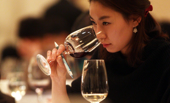 제11회 한국 소믈리에 대회 1차 예선이 13일 서울 플라자호텔에서 열리고 있다. 프랑스 농식품 수산부가 주최하고 프랑스 농식품 진흥공사가 주관한 이번 예선에는 250명이 참가했다. 연합뉴스