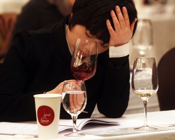 제11회 한국 소믈리에 대회 1차 예선이 13일 서울 플라자호텔에서 열리고 있다. 프랑스 농식품 수산부가 주최하고 프랑스 농식품 진흥공사가 주관한 이번 예선에는 250명이 참가했다. 연합뉴스