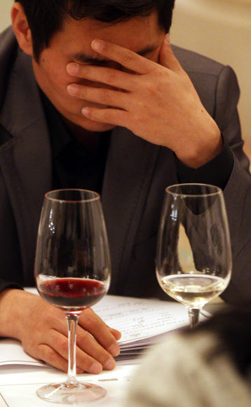 제11회 한국 소믈리에 대회 1차 예선이 13일 서울 플라자호텔에서 열리고 있다. 프랑스 농식품 수산부가 주최하고 프랑스 농식품 진흥공사가 주관한 이번 예선에는 250명이 참가했다. 연합뉴스