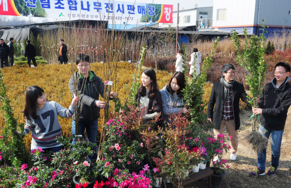산림조합중앙회가 13일 경기 하남시 감일동에 개장한 나무전시판매장을 방문한 시민들이 다양한 나무 묘목을 살펴보고 있다.  류재림기자 jawoolim@seoul.co.kr