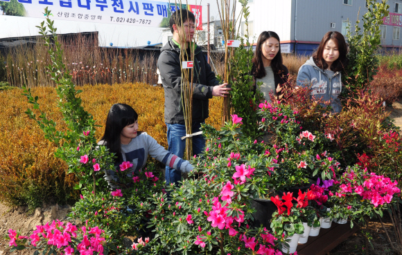 산림조합중앙회가 13일 경기 하남시 감일동에 개장한 나무전시판매장을 방문한 시민들이 다양한 나무 묘목을 살펴보고 있다.  류재림기자 jawoolim@seoul.co.kr