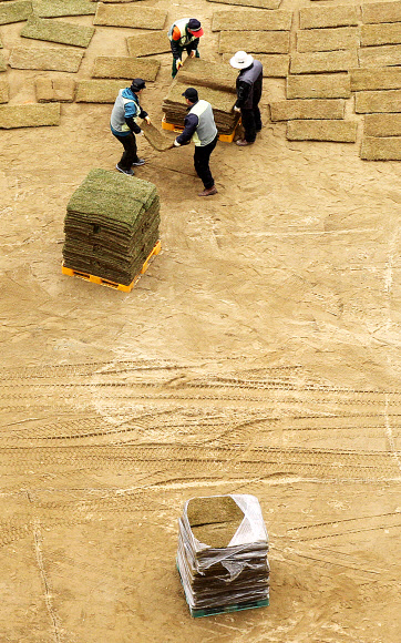 14일 오후 시청 앞 서울광장에서 서울시 관계자들이 새봄을 맞아 잔디를 교체하고 있다. 연합뉴스