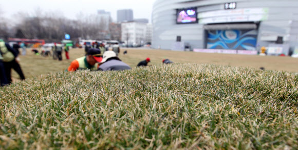 14일 오후 시청 앞 서울광장에서 서울시 관계자들이 새봄을 맞아 잔디 교체작업을 하고 있다. 연합뉴스
