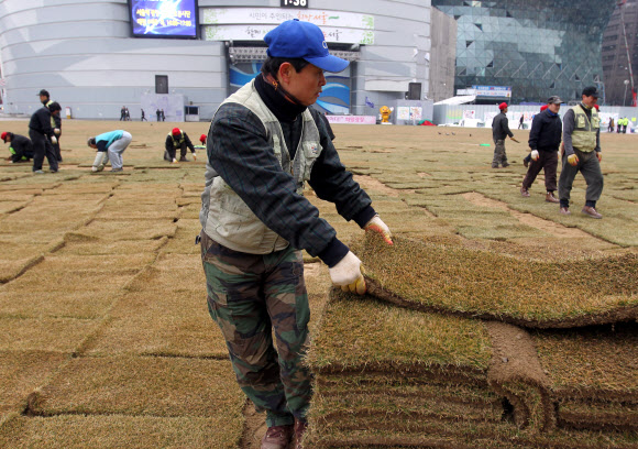 14일 오후 시청 앞 서울광장에서 서울시 관계자들이 새봄을 맞아 잔디 교체작업을 하고 있다. 연합뉴스