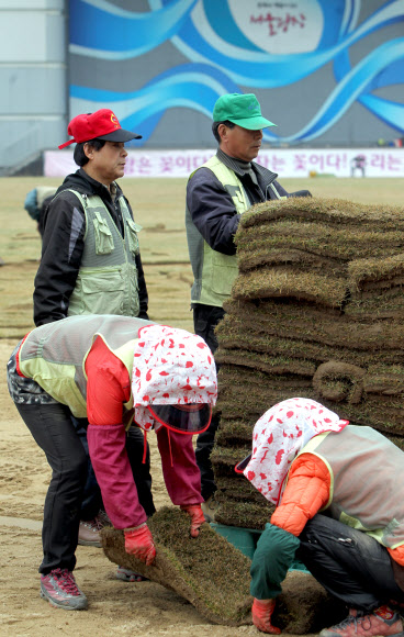 14일 오후 시청 앞 서울광장에서 서울시 관계자들이 새봄을 맞아 잔디를 교체하고 있다. 연합뉴스
