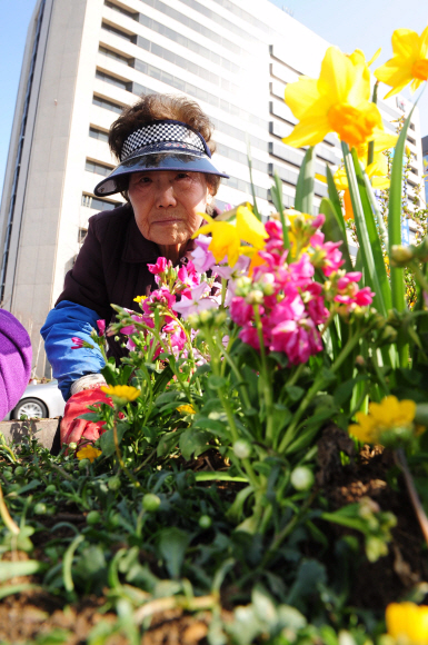 화창한 봄 날씨를 보인 15일 오후 서울 종로구 세종로 광화문 광장에서 시청관계자가 꽃을 심고 있다.  박지환기자 popocar@seoul.co.kr
