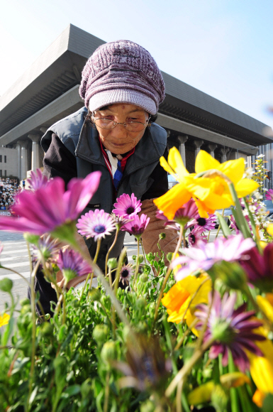 화창한 봄 날씨를 보인 15일 오후 서울 종로구 세종로 광화문 광장에서 시청관계자가 꽃을 심고 있다.  박지환기자 popocar@seoul.co.kr