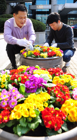 화창한 봄날씨를 보인 15일 서울 송파구민회관에서 송파구 관계자들이 마당에 놓인 대형 화분에 봄 분위기를 느낄 수 있는 색색의 꽃들을 심고 있다. 손형준기자 boltagoo@seoul.co.kr