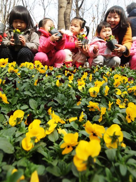 19일 오전 서울 서초구 방배동 도구로변에서 열린 ‘아름다운 꽃길 가꾸기’ 행사에서 어린이들이 꽃을 심고 있다.  연합뉴스