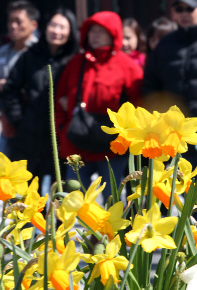 꽃샘추위가 절정인 20일은 절기상으로 밤과 낮의 길이가 같아진다는 춘분이다. 20일 오후 서울 광화문 광장을 지나는 시민들의 옷이 아직 두껍기만 하다. 연합뉴스