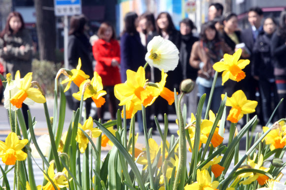 꽃샘추위가 절정인 20일은 절기상으로 밤과 낮의 길이가 같아진다는 춘분이다. 20일 오후 서울 광화문 광장을 지나는 시민들의 옷이 아직 두껍기만 하다. 연합뉴스