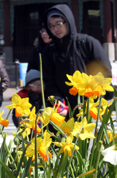 꽃샘추위가 절정인 20일은 절기상으로 밤과 낮의 길이가 같아진다는 춘분이다. 20일 오후 서울 광화문 광장을 지나는 시민들의 옷이 아직 두껍기만 하다.  연합뉴스