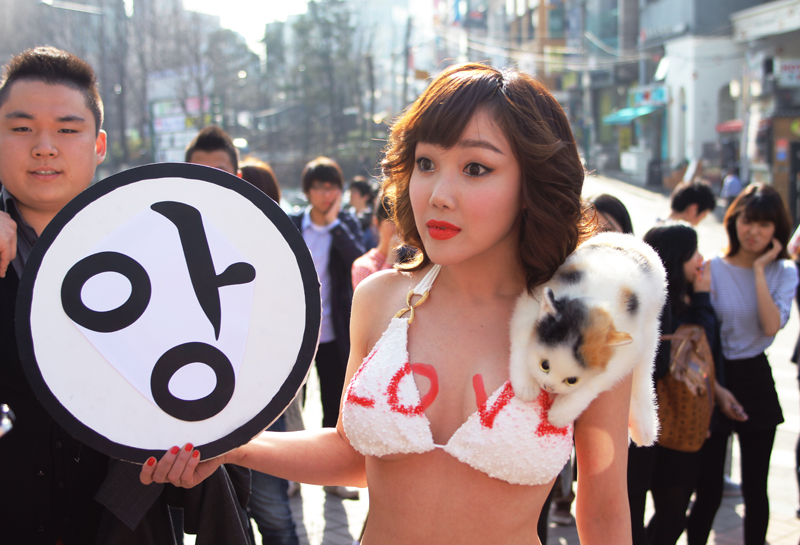 행위예술가 낸시랭(32)이 지난 9일 비키니 차림으로 홍대, 여의도, 광화문 광장 등 서울시내를 활보하며 4·11 총선 투표 참여 퍼포먼스를 연출하고 있다.