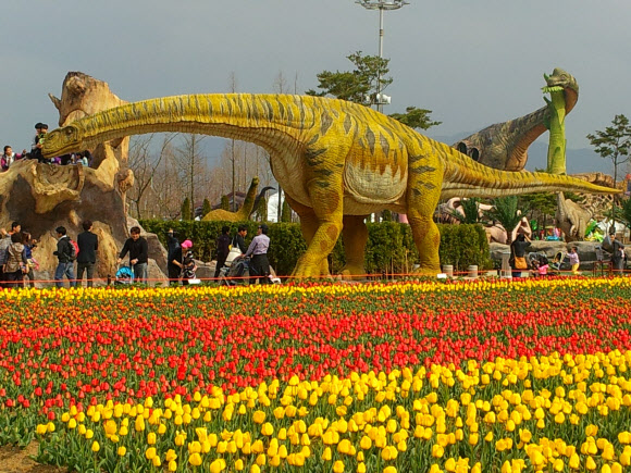 경남 고성군 공룡엑스포장의 튤립들이 형형색색 꽃을 활짝 피웠다. 마치 공룡이 꽃밭 사이를 나들이하는 것 같다. 연합뉴스