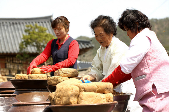 전통 된장 마을로 유명한 전남 강진군 군동면 신기마을을 찾는 관광객과 주민들이 18일 직접 된장을 만드는 체험을 하며 즐거워하고 있다.  연합뉴스