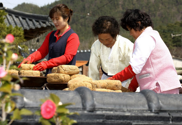 전통 된장 마을로 유명한 전남 강진군 군동면 신기마을을 찾는 관광객과 주민들이 18일 직접 된장을 만드는 체험을 하며 즐거워하고 있다.  연합뉴스
