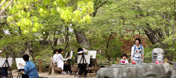 한 여름 날씨를 보인 경남 함양군 함양읍 상림공원을 찾은 아마추어 화가들이 화폭에 신록을 담으며 더위를 식히고 있다. 연합뉴스