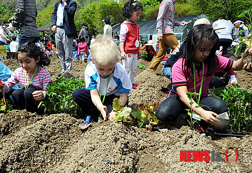 27일 오전 서울 서초구 내곡동 꽃초롱 자연체험학습장에서 레인보우 외국인학교 학생들이 일일 꼬마농부가 되어 고추,상추, 토마토 등 모종을 심고 있다.