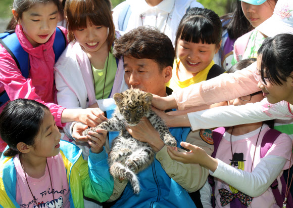 서울대공원과 현장체험학습 MOU를 체결한 금동초등학교 학생들이 30일 서울동물원 인공포육장에서 건강을 회복한 아기표범을 어루만지며 즐거워하고 있다. 연합뉴스