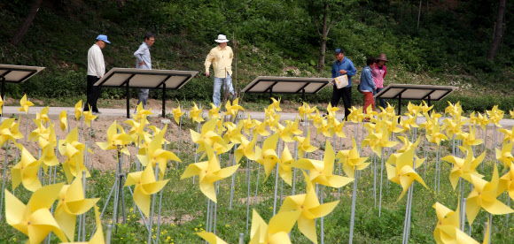 노무현 전 대통령 3주기 추도식이 열리는 23일 김해 봉하마을에 고인을 상징하는 노랑색 바람개비들이 세워졌다.   연합뉴스