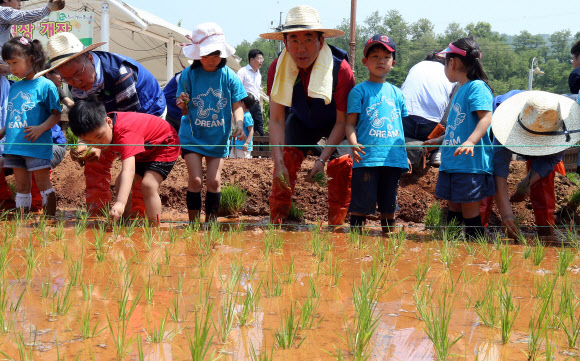 23일 오전 서울 농협하나로클럽 양재점 하나로공원에서 열린 ‘어린이 농업 체험장 개장’ 행사에서  강흥구 농협유통 사장이 어린이들과 함께 모를 심고 있다. 연합뉴스