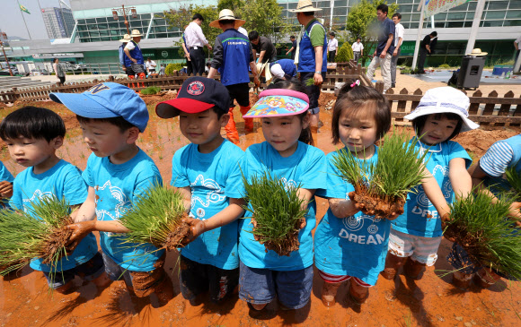 23일 오전 서울 농협하나로클럽 양재점 하나로공원에서 열린 ‘어린이 농업 체험장 개장’ 행사에서 어린이들이 모를 심고 있다.  연합뉴스