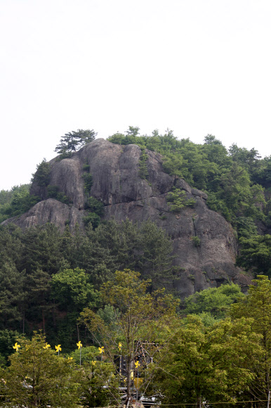 노무현 전 대통령 3주기 추모식이 열린 23일 봉하마을에 노랑색 바람개비들이 늘어선 뒤로 노 전 대통령이 투신했던 부엉이바위가 보인다. 연합뉴스