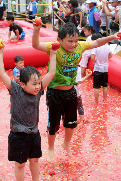 24일 오후 경기도 광주시 퇴촌면 정지리에서 제10회 퇴촌 토마토 축제가 열려 참가자들이 토마토 풀장 체험을 하고 있다. 연합뉴스