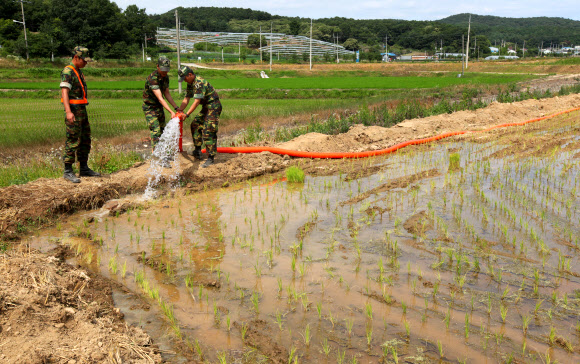 26일 오후 경기도 파주시 법원읍에서 육군 1사단 장병들이 논에 물을 뿌리고 있다.  연합뉴스