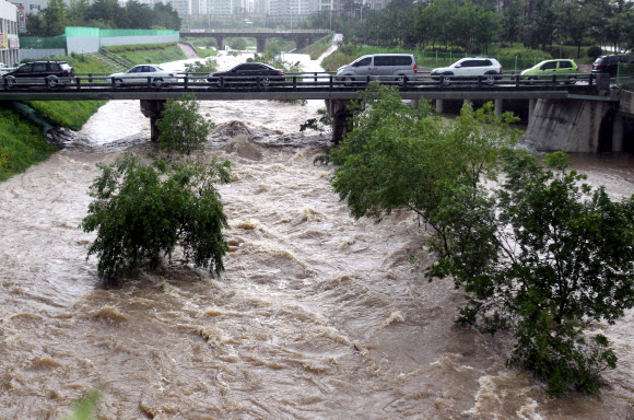 장마전선의 영향으로 14일부터 15일 오전 9시까지 부산에 130㎜가 넘는 큰비가 내렸다. 부산 기장군 정관신도시를 관통하는 좌광천에는 거친 물살의 흙탕물이 내려가고 있다.  연합뉴스