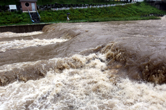 장마전선의 영향으로 14일부터 15일 오전 9시까지 부산에 130㎜가 넘는 큰비가 내렸다. 부산 기장군 정관신도시를 관통하는 좌광천에는 거친 물살의 흙탕물이 내려가고 있다.  연합뉴스
