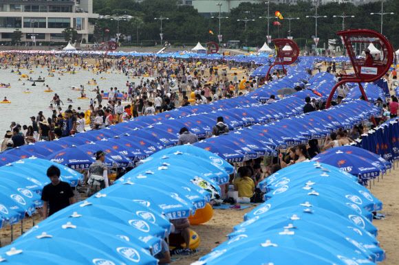 22일 부산 해운대해수욕장을 찾은 피서객들이 물놀이를 즐기거나 파라솔 아래에서 더위를 식히고 있다. 이날 해운대해수욕장에는 25만명의 피서객들이 몰려 더위를 식혔다.  연합뉴스