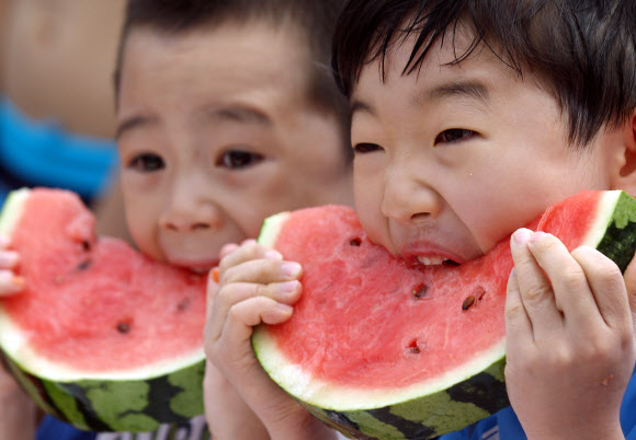 서초구청은 계속되는 무더위를 맞아 31일 양재천 수영장에서 ‘수박 빨리먹기 대회’를 진행했다. 초등학생 이하 어린이 60명을 선착순으로 받아 조별 1등에게 소정의 상품을 지급했다.  연합뉴스