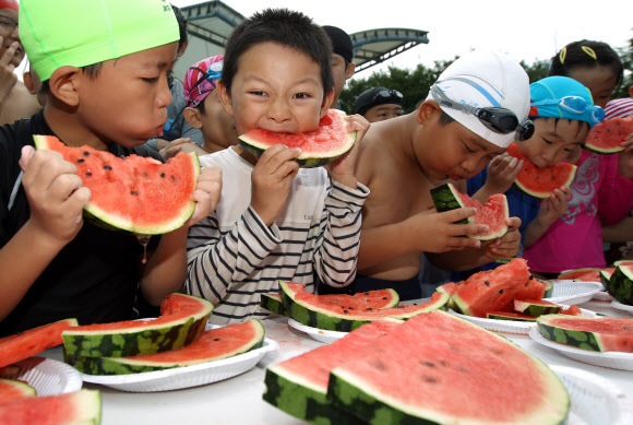 서초구청은 계속되는 무더위를 맞아 31일 양재천 수영장에서 ‘수박 빨리먹기 대회’를 진행했다. 초등학생 이하 어린이 60명을 선착순으로 받아 조별 1등에게 소정의 상품을 지급했다.  연합뉴스