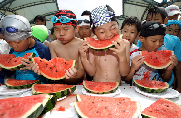 서초구청은 계속되는 무더위를 맞아 31일 양재천 수영장에서 ‘수박 빨리먹기 대회’를 진행했다. 초등학생 이하 어린이 60명을 선착순으로 받아 조별 1등에게 소정의 상품을 지급했다.  연합뉴스