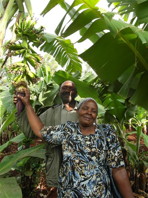 부농의 꿈을 키우고 있는 사바사바 마을의 여성 농민 사비나가 남편과 바나나 농장에서 포즈를 취하고 있다.