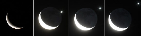 14일 새벽 2시41분부터 3시38분까지 멀리 있는 천체(금성)가 가까이 있는 천체(달) 뒤로 사라졌다가 나타나는 엄폐(俺蔽·Occultation) 현상이 관찰됐다. 연합뉴스