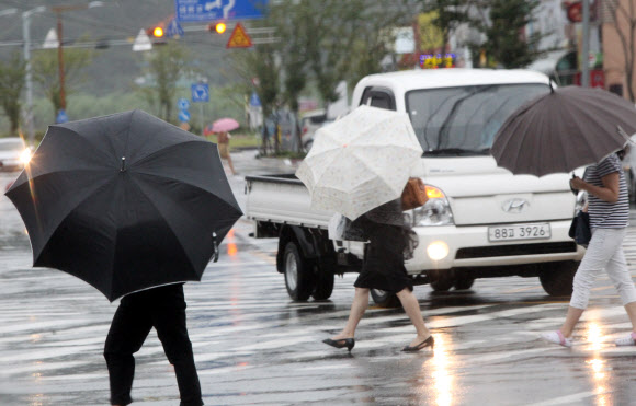 태풍 ‘볼라벤’이 한반도에 상륙한 28일 울산시 중구 태화동의 한 횡단보도에서 우산을 쓴 시민들이 힘겹게 걸어가고 있다. 연합뉴스