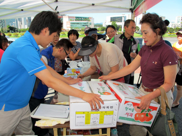 31일 경남 창원에 있는 농협중앙회 경남본부 앞마당에서 태풍 피해 과수 농가를 돕기 위한 낙과 사과 특별판매 행사가 열린 가운데 시민들이 줄지어 서 사과를 사고 있다. 연합뉴스
