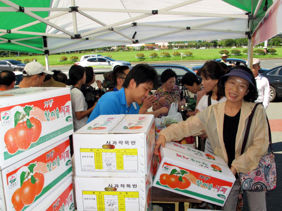 31일 경남 창원에 있는 농협중앙회 경남본부 앞마당에서 태풍 피해 과수 농가를 돕기 위한 낙과 사과 특별판매 행사가 열린 가운데 시민들이 줄지어 서 사과를 사고 있다. 연합뉴스