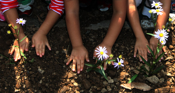 서초구는 10일 오전 우면산에서 가을꽃 심기 행사를 진행했다. 지난해 산사태 피해를 입은 우면산 덕우암 계곡 주변 복구현장에서 어린이집 원생과 학부모, 주민 등이 참여해 벌개미취, 구절초, 부처꽃 등을 심었다. 연합뉴스