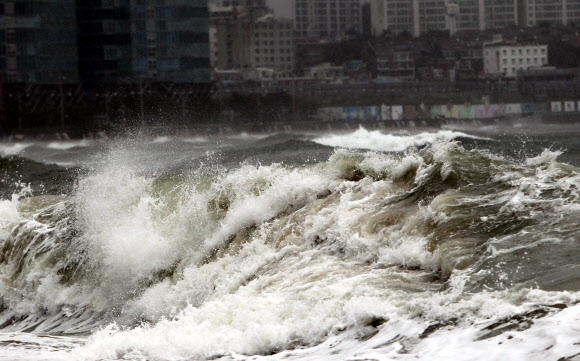 17일 부산 해운대해수욕장에는 제16호 태풍 산바가 몰고온 집채만한 파도가 몰아치고 있다. 해운대구는 태풍 피해를 줄이기 위해 백사장에 모래방벽을 쌓았다.  연합뉴스