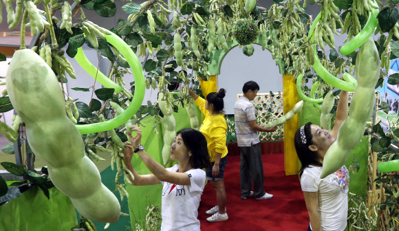 20일 서울 서초구 양재동 aT센터에서 개막한 ‘2012 생명산업과학기술대전’에서 식생활교육경남네트워크의 ‘문화컨텐츠 개발센터 판’이 만들어놓은 콩나무 터널이 전시돼 눈길을 끌고 있다.  연합뉴스