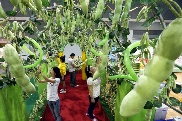20일 서울 서초구 양재동 aT센터에서 개막한 ‘2012 생명산업과학기술대전’에서 식생활교육경남네트워크의 ‘문화컨텐츠 개발센터 판’이 만들어놓은 콩나무 터널이 전시돼 눈길을 끌고 있다.  연합뉴스