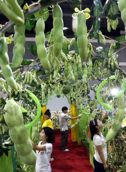 20일 서울 서초구 양재동 aT센터에서 개막한 ‘2012 생명산업과학기술대전’에서 식생활교육경남네트워크의 ‘문화컨텐츠 개발센터 판’이 만들어놓은 콩나무 터널이 전시돼 눈길을 끌고 있다.  연합뉴스