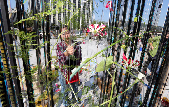 24일 오전 서울 광화문 광장에서 ‘고전과 현대 도심의 어울림’을 주제로 ‘2012 국제꽃장식대회’가 열리고 있다.  연합뉴스