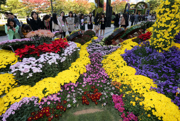 15일 오후 서울 강남구 삼성동 코엑스 동문 광장에서 코엑스 주최로 열린 ‘2012 국화 페스티벌’을 찾은 시민들이 다양한 국화를 구경하고 있다.     연합뉴스