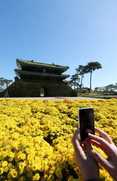 23일 전남 함평군 함평읍 함평엑스포공원에 국화로 만든 숭례문이 등장해 눈길을 끌고 있다.  연합뉴스